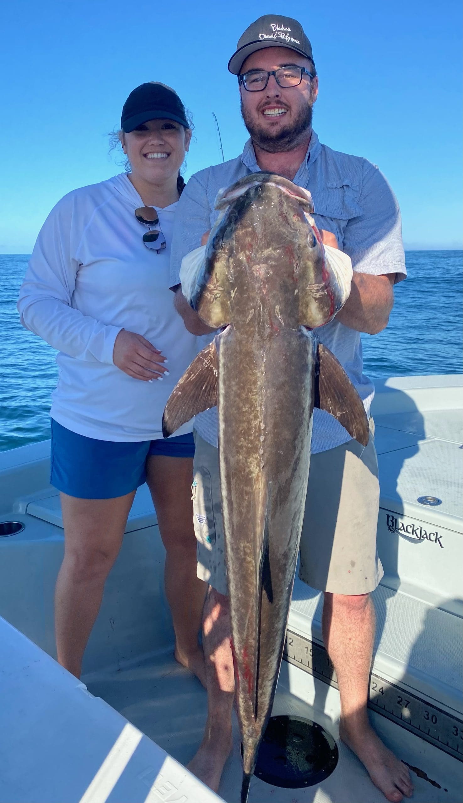 Cobia Fishing Charleston Sc